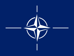 NATOとは一体に何？設立背景や加盟国、ウクライナとの関係を簡単に解説